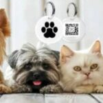 advertising on kent radio - audio commercials