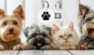 advertising on kent radio - audio commercials