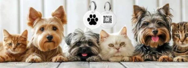 advertising on kent radio - audio commercials